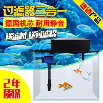 魚缸過濾器選購技巧選購技巧選購技巧：如何選擇魚缸過濾器