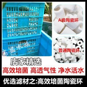 魚缸過濾魚缸過濾材料選擇底濾魚缸過濾材料推薦：底濾魚缸過濾材料怎么選？