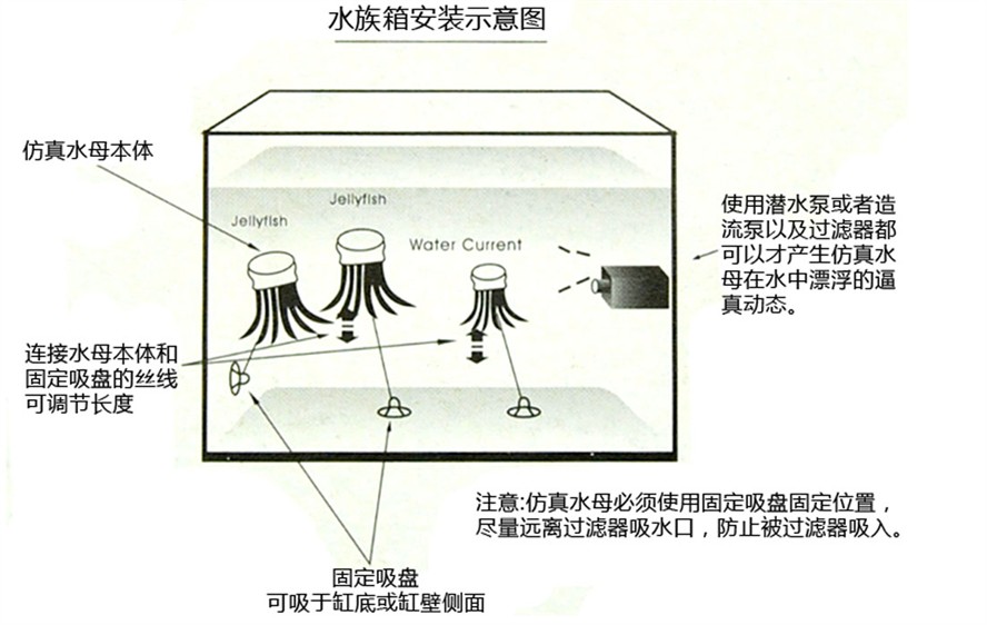 銀龍魚魚缸多大合適（銀龍魚魚缸多大合適養）