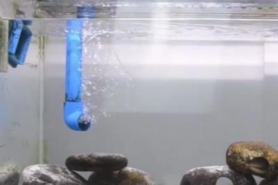 魚(yú)缸過(guò)濾系統(tǒng)的演變歷程：如何正確安裝魚(yú)缸過(guò)濾盒