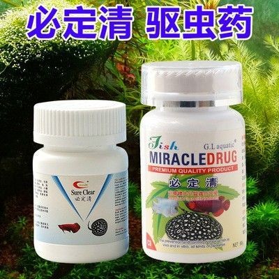 龍魚生病不吃食怎么辦呢吃什么藥 龍魚生病不吃食怎么辦呢吃什么藥 龍魚百科 第1張