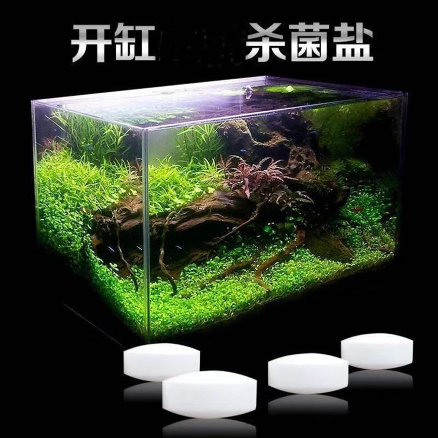 魚缸消毒的科學原理：使用海鹽進行魚缸消毒的步驟和注意事項