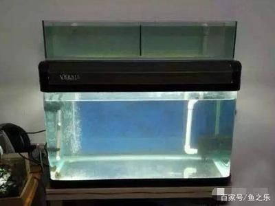 魚缸過濾系統的選擇指南：底濾魚缸改裝過濾桶是一種常見的水族箱改造方式和劣勢