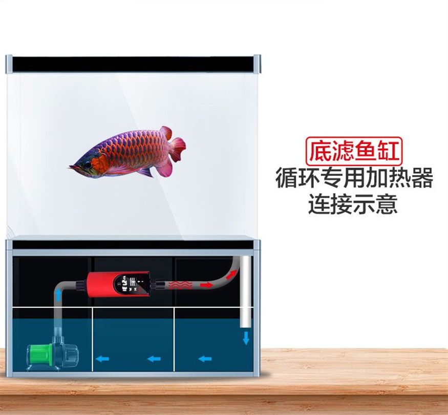 魚缸過濾系統的選擇指南：底濾魚缸改裝過濾桶是一種常見的水族箱改造方式和劣勢