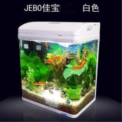 銀龍魚掉眼手術多少錢一次（銀龍魚掉眼手術多少錢一次啊）
