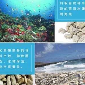 魚(yú)缸定做服務(wù)的店鋪：水族工程公司水族工程水族館：在海城提供魚(yú)缸定做服務(wù)的店鋪