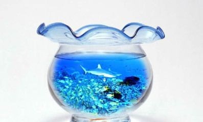 魚缸爆裂的原因有哪些：浮法玻璃魚缸容易爆缸嗎，魚缸爆裂的原因和預(yù)防措施