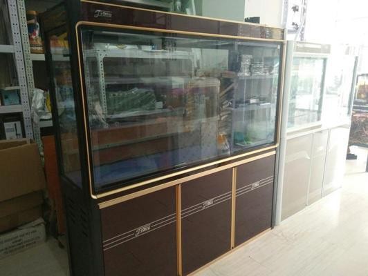 克東縣森淼魚居水族館（克東縣森淼魚居水族館電話）
