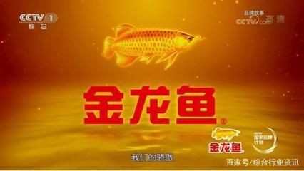 金龍魚屬于什么企業