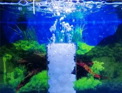 魚缸增氧誤區與真相許多養魚愛好者誤以為魚缸必須增氧：給魚缸吹氣能增氧嗎？