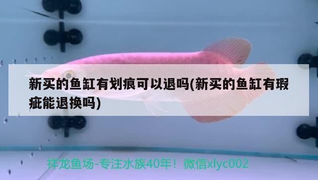 新買的魚缸有劃痕可以退嗎(新買的魚缸有瑕疵能退換嗎)