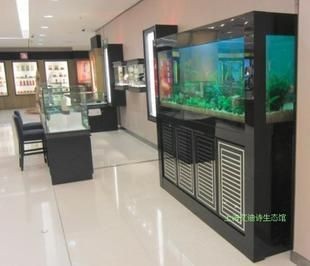 黑色魚缸在風水學中的作用：風水學中黑色魚缸可以發揮繁榮財富的作用在風水中的作用