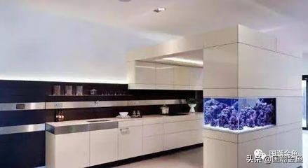 黑色魚缸在風水學中的作用：風水學中黑色魚缸可以發揮繁榮財富的作用在風水中的作用