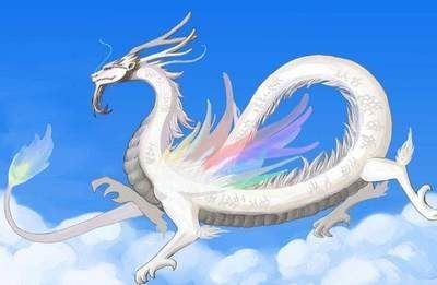 大白龍是什么魚種