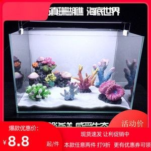 淡水魚缸與海水魚缸的區別：海邊撿的珊瑚石能否放入魚缸