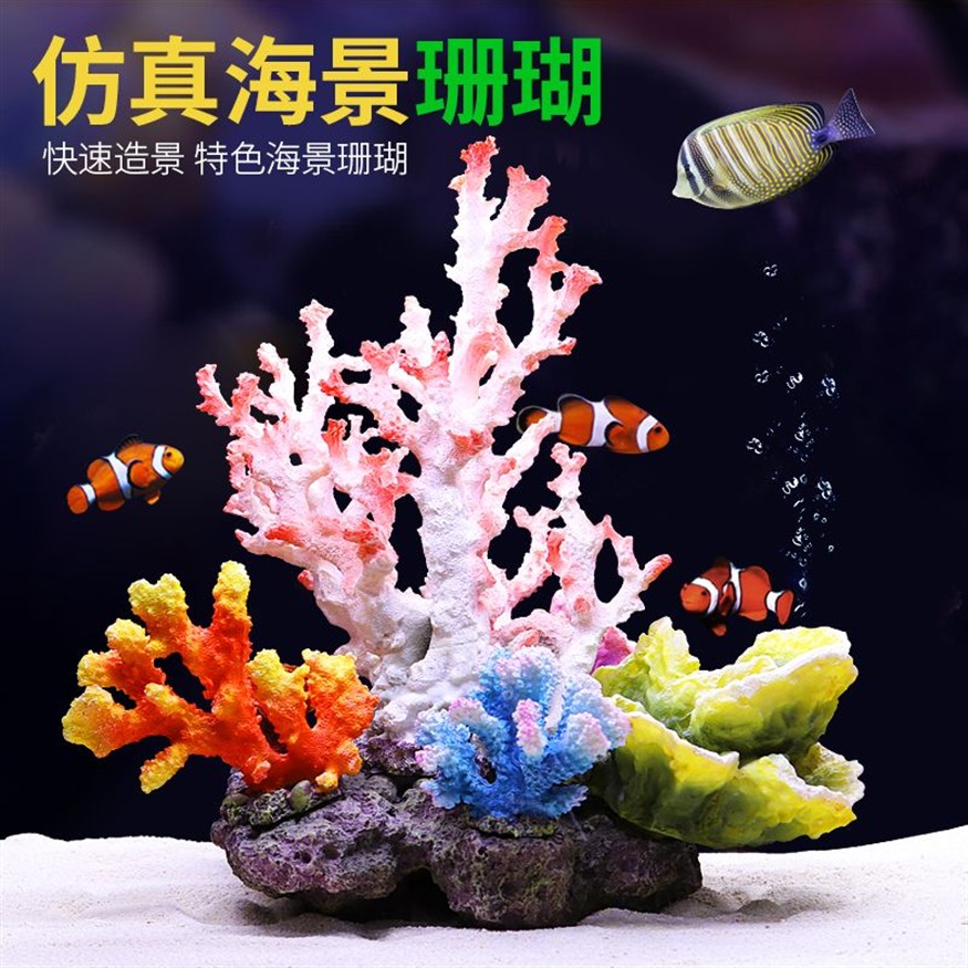 淡水魚缸與海水魚缸的區別：海邊撿的珊瑚石能否放入魚缸