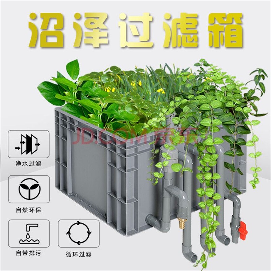 適合古法養(yǎng)魚的水草種類如何選擇適合古法養(yǎng)魚的水草種類：古法養(yǎng)魚的水草種類