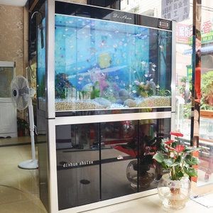 高級魚缸的價格是多少：亞克力魚缸價格揭秘高級魚缸價格是多少，魚缸布景價格是多少