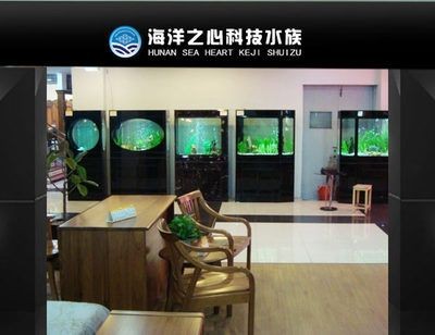 熱帶魚的養護秘籍:海洋之心魚缸是一款高檔的水族產品 魚缸百科 第1張 熱帶魚的養護秘籍:海洋之心魚缸是一款高檔的水族產品 熱帶魚的養護秘籍:海洋之心魚缸是一款高檔的水族產品 魚缸百科 第1張