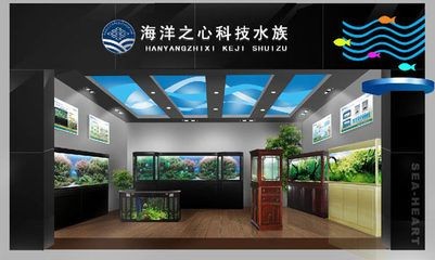 熱帶魚的養護秘籍：海洋之心魚缸是一款高檔的水族產品 熱帶魚的養護秘籍：海洋之心魚缸是一款高檔的水族產品 魚缸百科 第2張