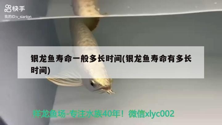 銀龍魚壽命一般多長時間(銀龍魚壽命有多長時間)