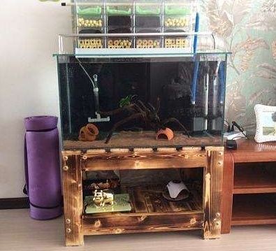 高級魚缸的價格是多少：高級魚缸的價格 高級魚缸的價格是多少：高級魚缸的價格 魚缸百科 第4張