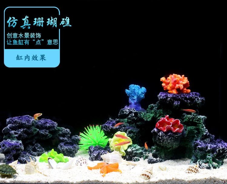 珊瑚礁生態(tài)揭秘珊瑚礁生態(tài)揭秘珊瑚礁生態(tài)揭秘珊瑚礁生態(tài)揭秘：海底造景魚缸價(jià)格