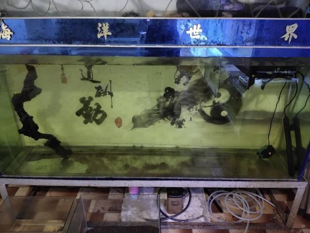 不用的舊魚缸怎么處理：廢舊魚缸如何處理