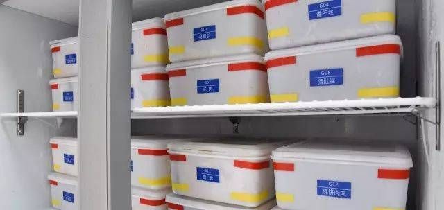 隔離盒的選購指南：隔離盒在魚缸中放置位置可以根據其具體用途來確定
