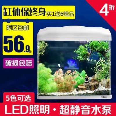 海星的種類與特點：如何在家中養殖健康的海星 海星的種類與特點：如何在家中養殖健康的海星 魚缸百科 第3張