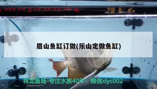眉山魚缸訂做(樂山定做魚缸)