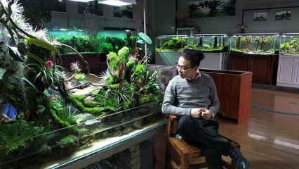 魚缸造景培訓(xùn)機(jī)構(gòu)排名前十名：廣州魚缸造景培訓(xùn)機(jī)構(gòu)排名前十