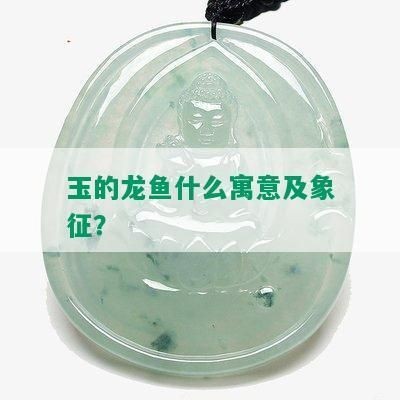 各種龍魚的寓意是什么意思和象征意義