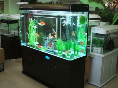 廣州越美魚缸的價格是多少：廣州越美魚缸價格 廣州越美魚缸的價格是多少：廣州越美魚缸價格 魚缸百科 第2張