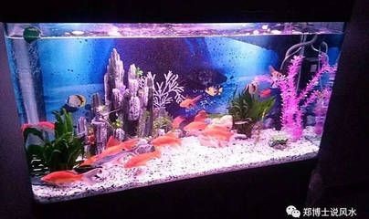 魚缸的形狀和擺放位置有關：長方形魚缸形狀和風水魚缸形狀及其寓意的科學原理