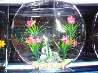 湘潭縣花石鎮魚樂無極限水族館（湘潭縣花石鎮魚樂無極限水族館