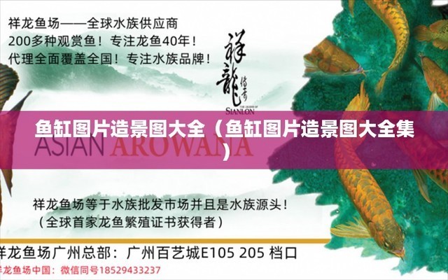 招財魚可以和銀龍魚混養嗎圖片視頻教程（招財魚可以和銀龍魚混養嗎圖片視頻教程大全）