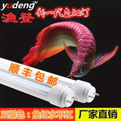 閩江水族魚缸燈選購技巧：閩江水族魚缸燈光設計的藝術魚缸燈光設計的藝術魚缸燈 閩江水族魚缸燈選購技巧：閩江水族魚缸燈光設計的藝術魚缸燈光設計的藝術魚缸燈 魚缸百科 第1張