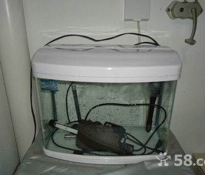 呼和浩特市魚缸店：內蒙古呼和浩特魚缸店