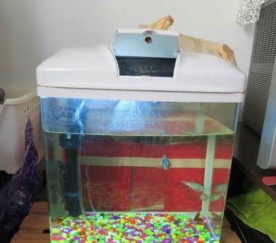 如何挑選合適的二手魚缸：呼和浩特二手魚缸市場交易注意事項在二手魚缸市場交易時 如何挑選合適的二手魚缸：呼和浩特二手魚缸市場交易注意事項在二手魚缸市場交易時 魚缸百科 第3張