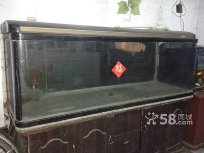 如何挑選二手魚缸？：哈爾濱二手魚缸交易