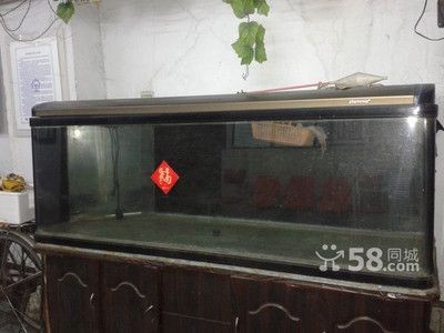 如何挑選二手魚缸？：哈爾濱二手魚缸交易