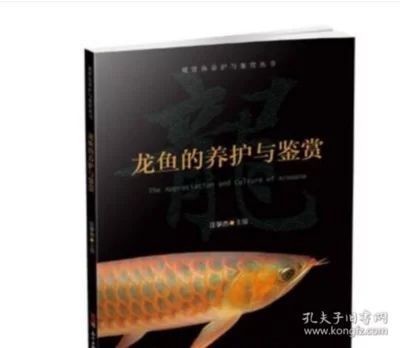 龍魚的養殖與鑒賞論文題目怎么寫好 龍魚的養殖與鑒賞論文題目怎么寫好 龍魚百科 第1張