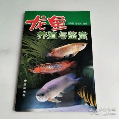 龍魚的養殖與鑒賞論文題目怎么寫好 龍魚的養殖與鑒賞論文題目怎么寫好 龍魚百科 第3張