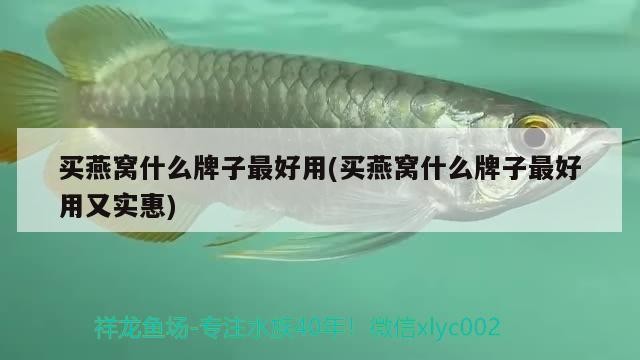 虎魚的產地（虎魚原產地）