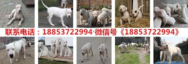菏澤市定陶區(qū)魚多多水族館成立于2011年09月05日：定陶區(qū)魚多多水族館