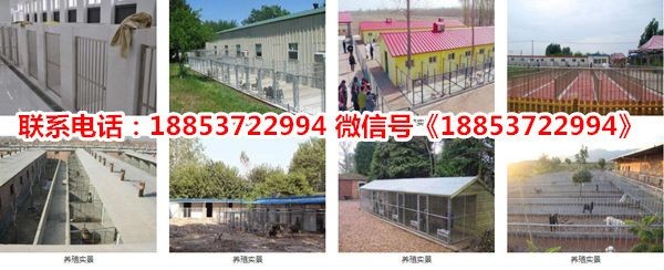 菏澤市定陶區(qū)魚多多水族館成立于2011年09月05日：定陶區(qū)魚多多水族館