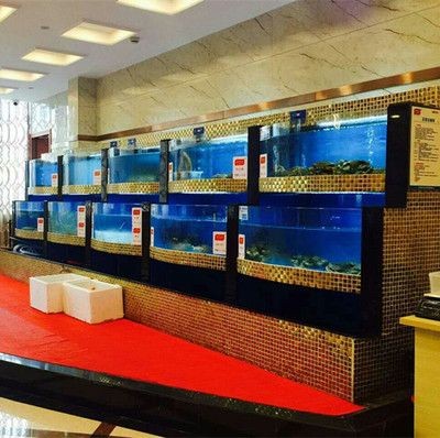 飯店魚缸定制的價格范圍和具體案例：除了考慮價格：飯店魚缸定制價格范圍