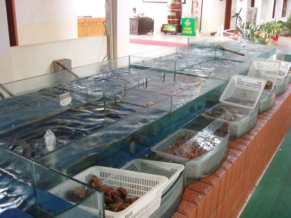 廣州黃沙水產品批發市場及其特點及其特點是什么：廣州國際水產交易市場