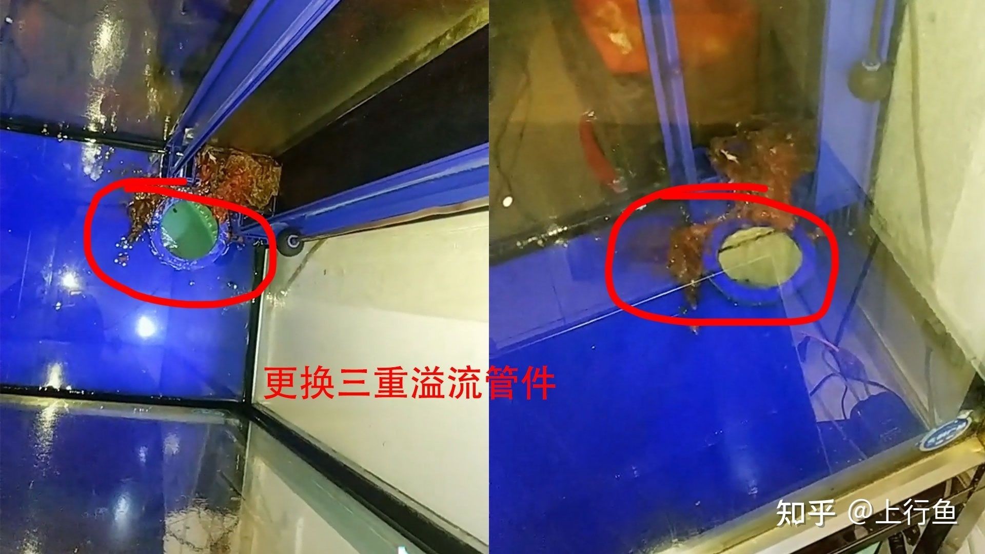 魚缸溢流的緊急處理魚缸溢流問題，魚缸溢流的原因是什么：如何解決魚缸溢流